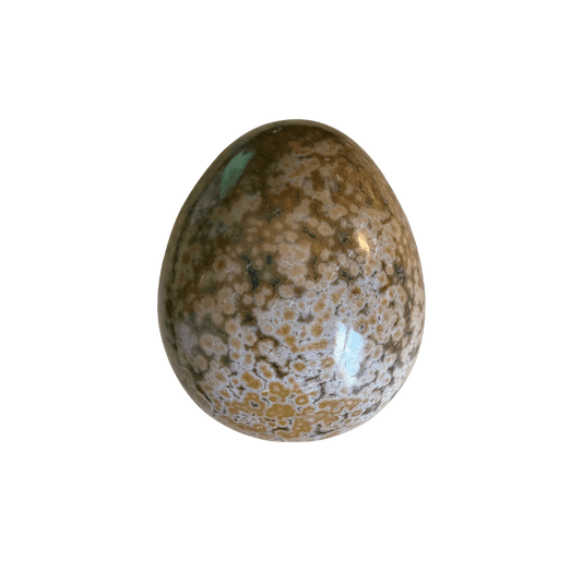 Honey Ocean Jasper Egg with rare orbicular patterns, hand-polished for collectors seeking joyful renewal energy and emotional balance. Front View.