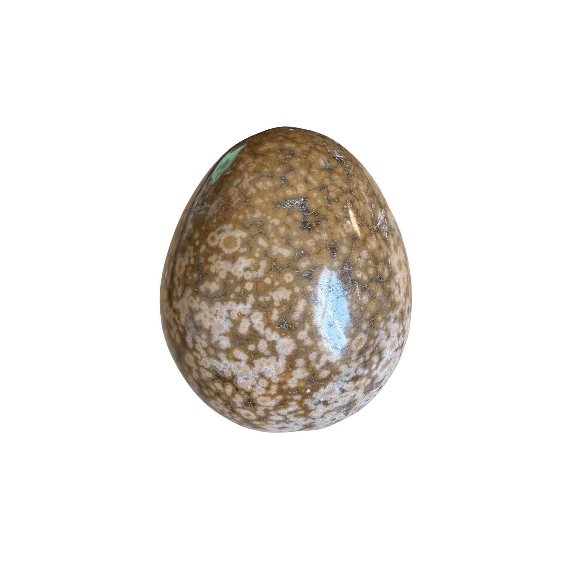 Honey Ocean Jasper Egg with orbicular fossil patterns, hand-polished collectible stone for joyful renewal and emotional balance. Back View.