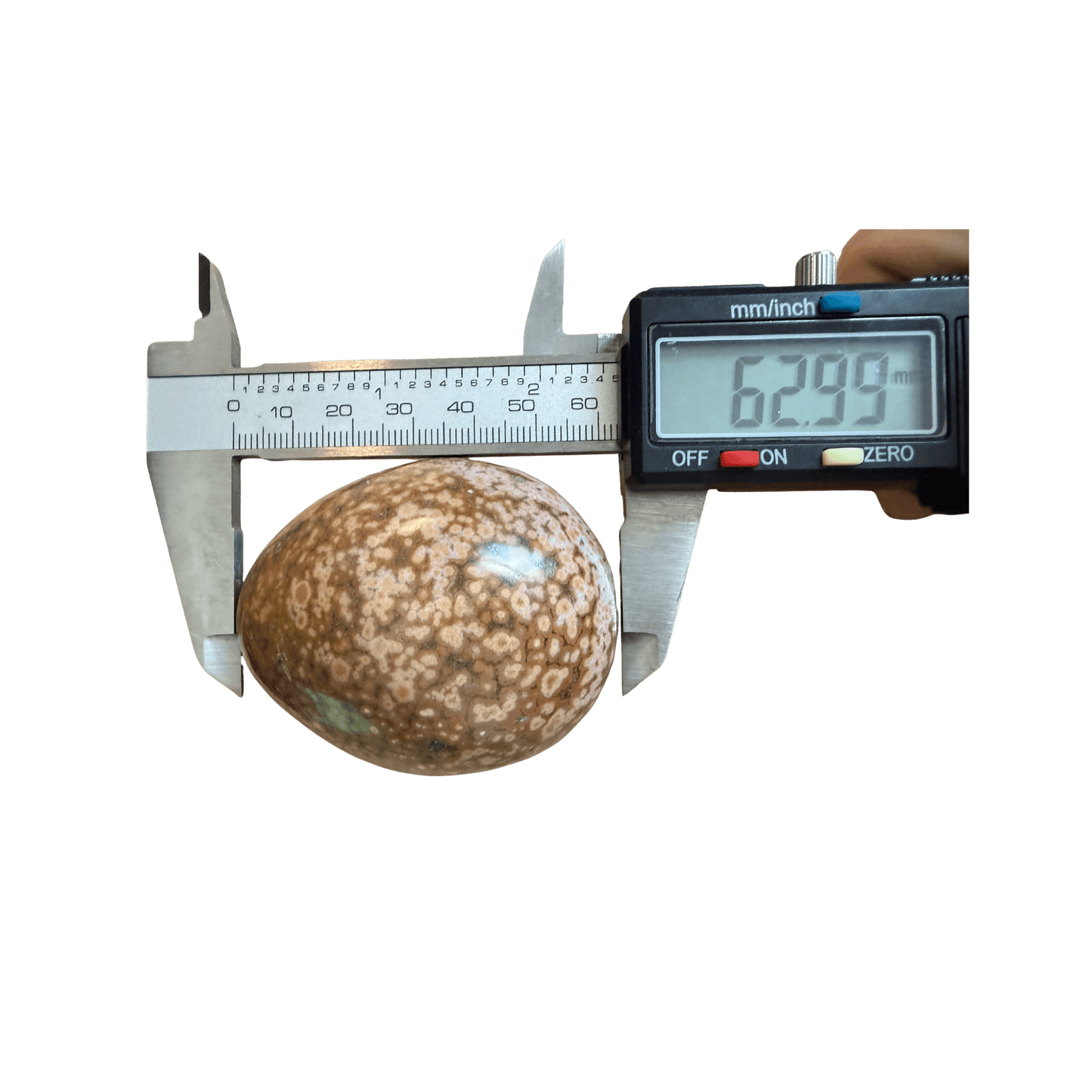 Honey Ocean Jasper Egg measuring 62.99mm in height with digital caliper, showcasing rare orbicular patterns and polished finish for collectors and crystal healing.
