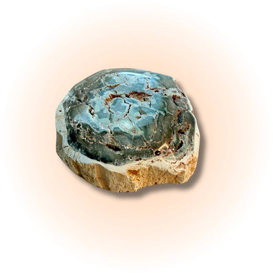 Polished petrified wood slice in oceanic blue-green tones, showcasing fossilized textures and grounding energy, 98g-105g from Madagascar. Slice A