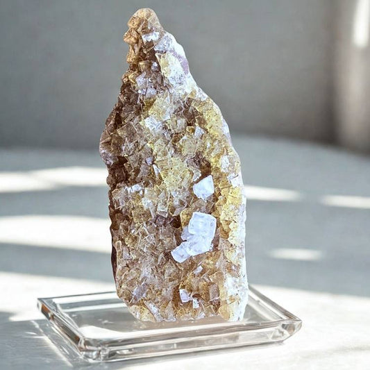 Collector-grade yellow and clear fluorite crystal from Ojuela Mine, Mexico, shown on a display stand with natural lighting.