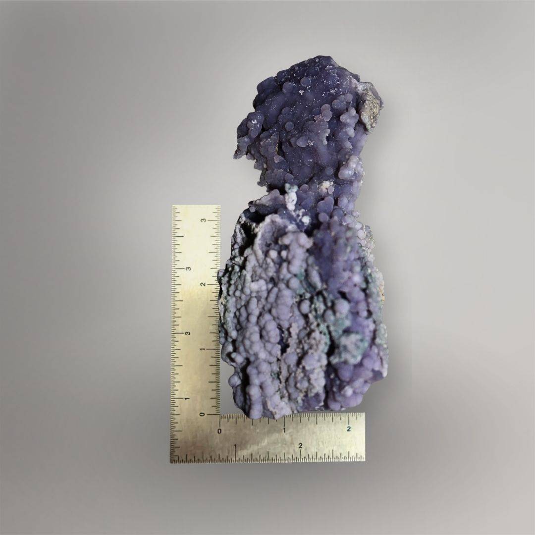 183g Indonesian Grape Agate cluster beside a ruler showing its approximately 4.8-inch vertical form