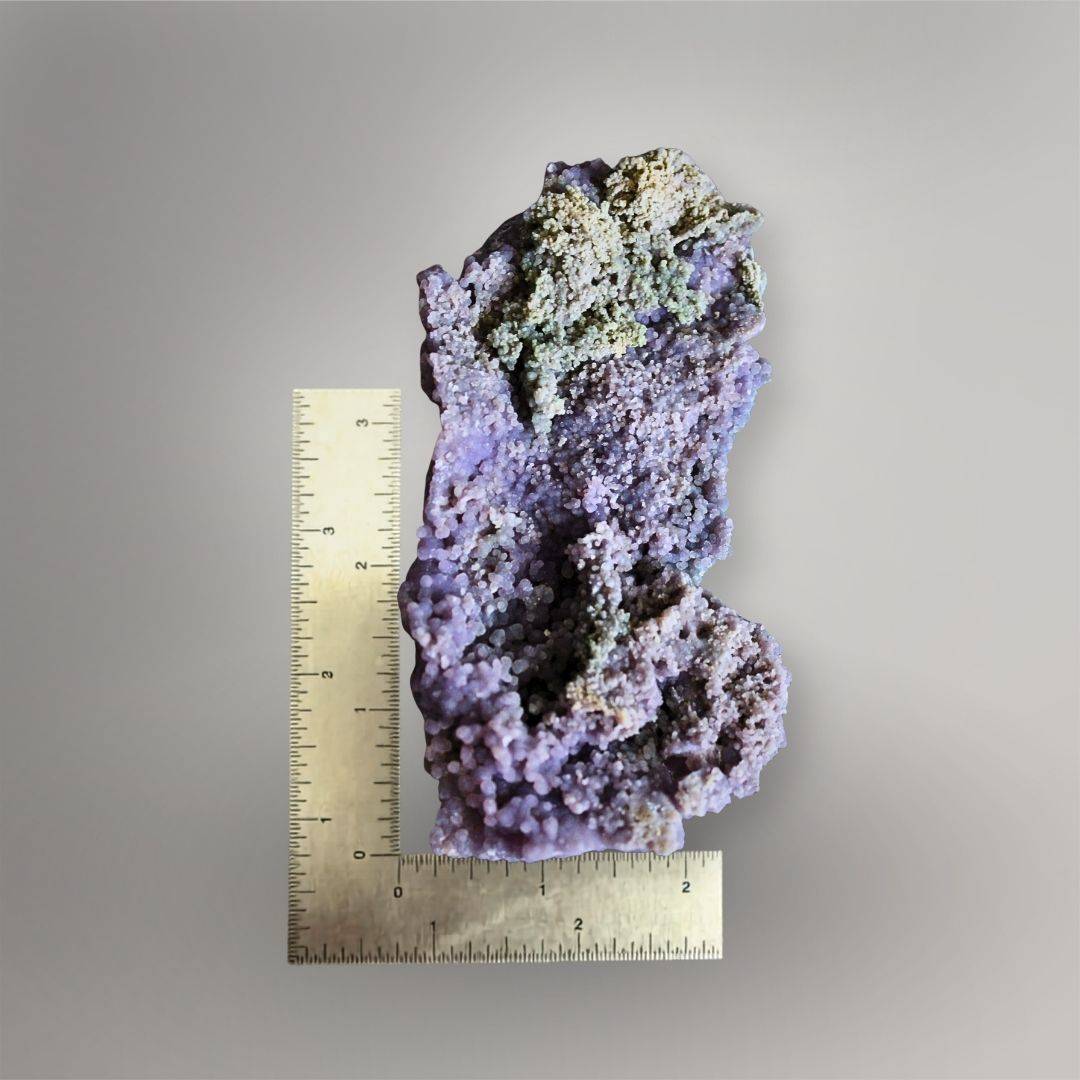 374g Indonesian Grape Agate specimen beside a ruler showing its approximately 5.8-inch horizontal form