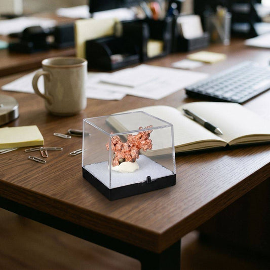 Sculptural native copper specimen from China displayed in a clear protective perky box on a wooden desk beside an open notebook, pen, and coffee mug.