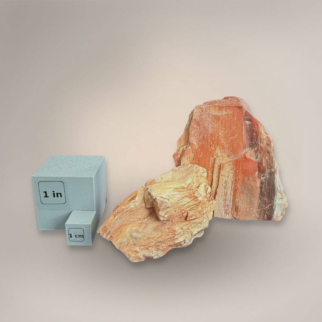 UV Petrified Wood rough pieces from Elko County Nevada shown beside 1 inch and 1 centimeter scale cubes for size reference.