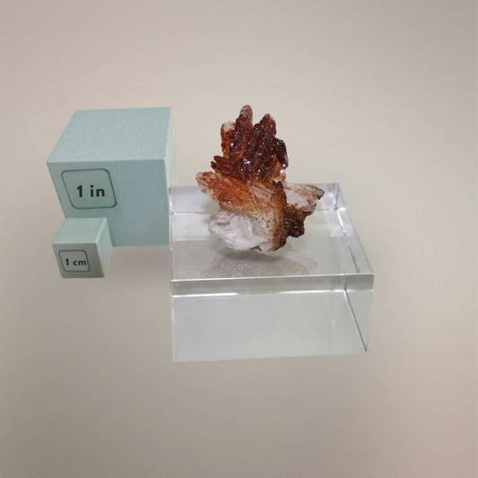 Vanadinite over Barite specimen from Morocco shown with 1 inch and 1 cm scale cubes