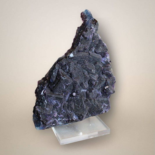 Triangular fluorite plate from China with numerous stepped purple cubic crystals, textured surfaces, and an upright acrylic stand.