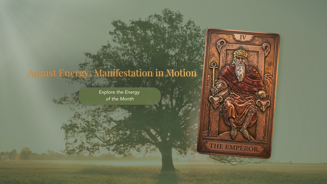 August Newsletter large tree in a field with the Emperor Tarot Card