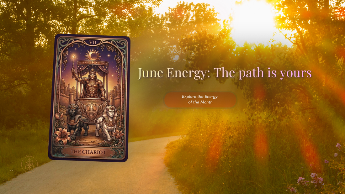 The Chariot Tarot in a morning sunlit path