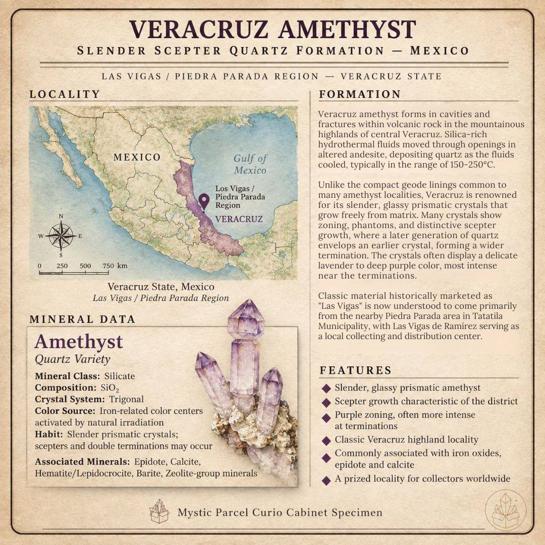 Veracruz Amethyst from Las Vigas de Ramirez, Mexico