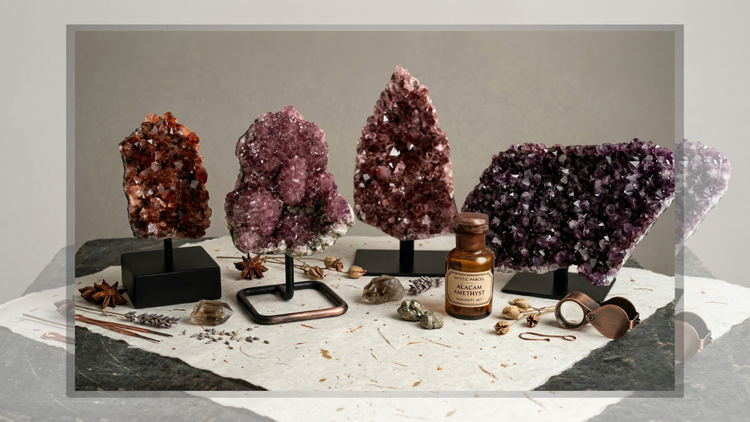 Group display of four Alaçam Amethyst specimens from Turkey in varied purple tones, styled on black stands with apothecary-inspired props and a labeled amber bottle.