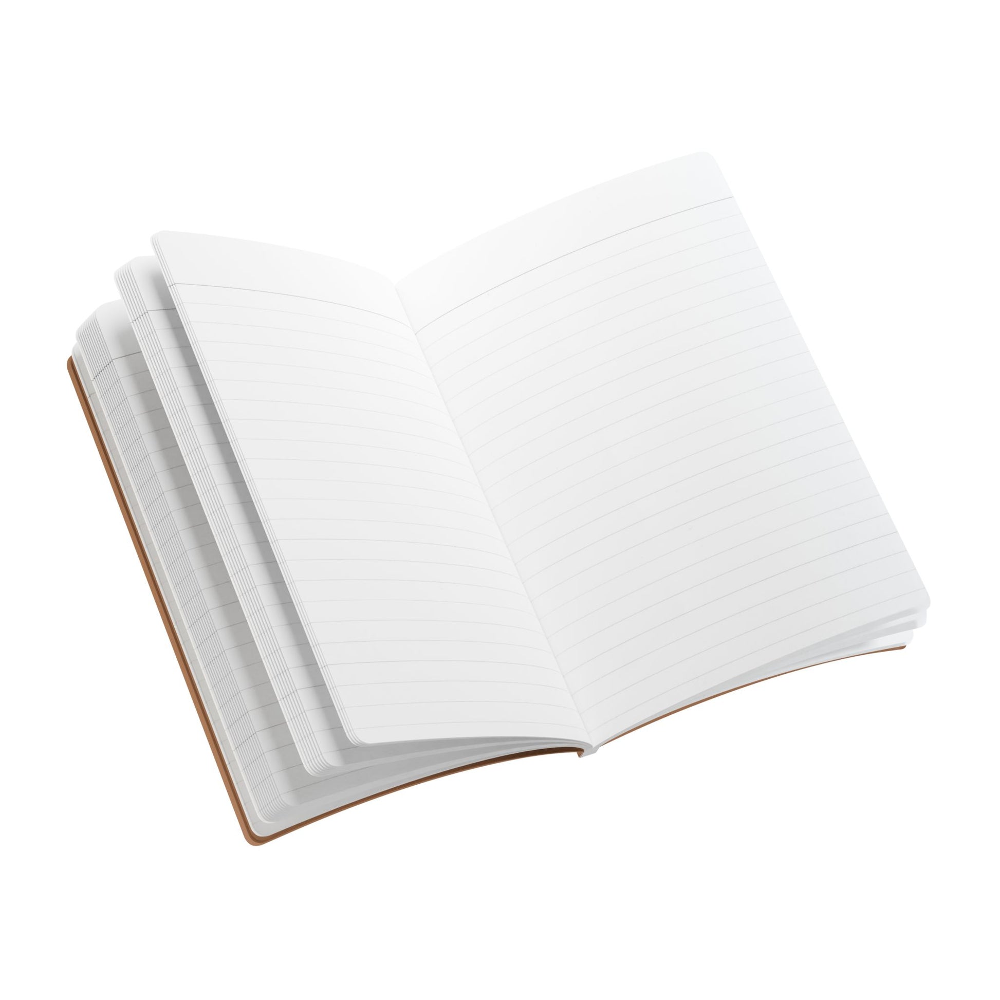 Open book with blank pages on a white background