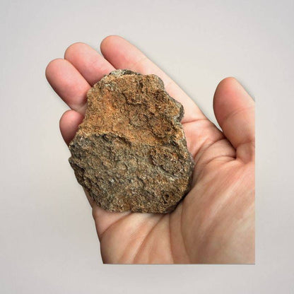Back view of Alaçam Amethyst Druzy Specimen — Multi-Peak Crystal Formation (94g) showing natural rock matrix in hand for scale reference.
