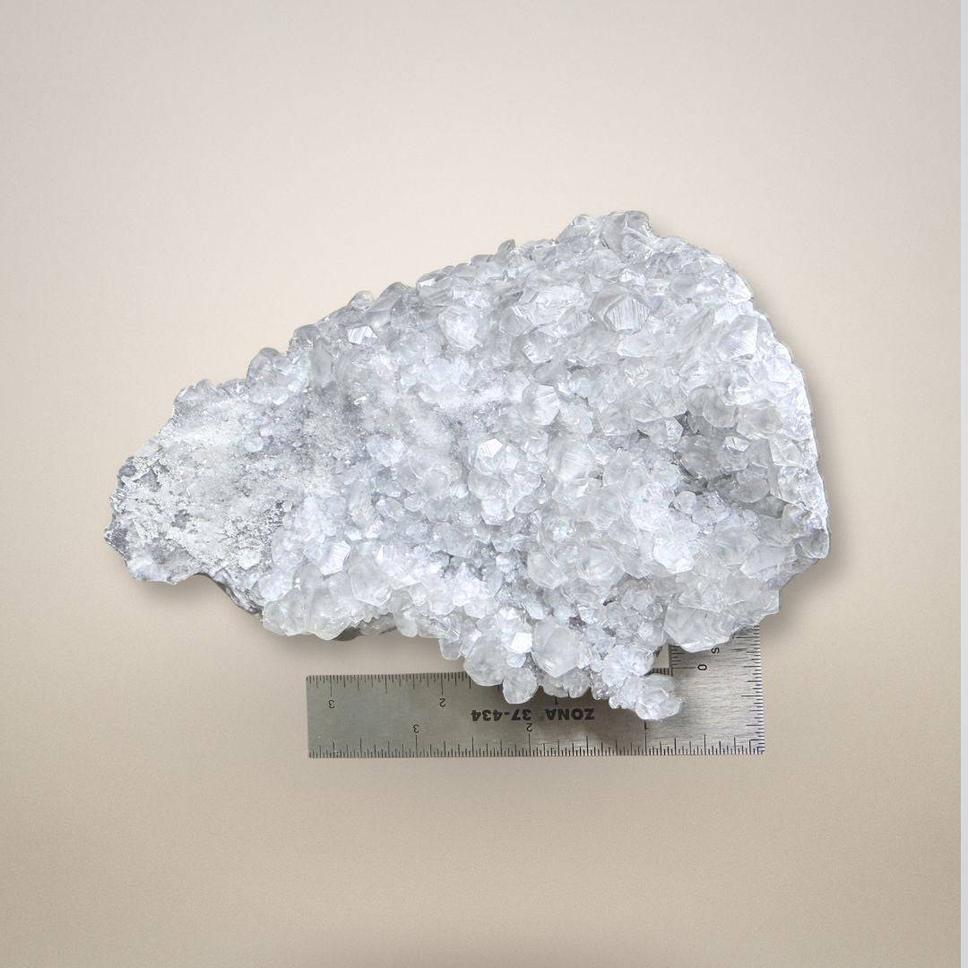Apophyllite Cluster - Collector Specimen placed beside a ruler for scale, emphasizing its size and intricate crystal structure.
