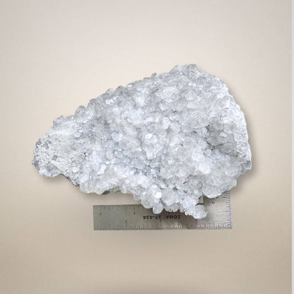 Apophyllite Cluster - Collector Specimen placed beside a ruler for scale, emphasizing its size and intricate crystal structure.