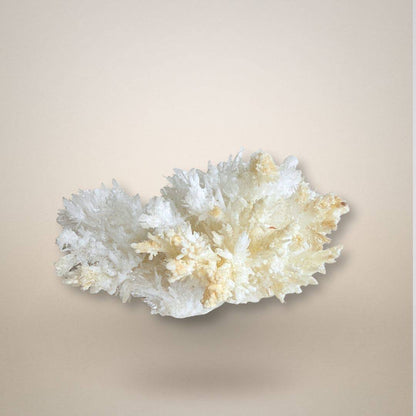 Santa Eulalia Aragonite - Acicular Spray 46g showing intricate needle-like crystal formations in a horizontal spread, collectible mineral piece.