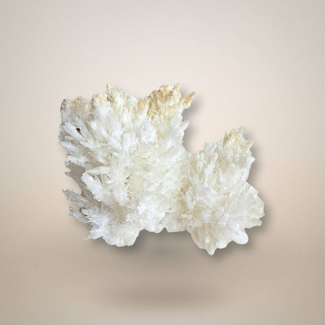 Santa Eulalia Aragonite - Acicular Spray 46g specimen with radiating white crystal clusters, ideal for mineral collectors and display.
