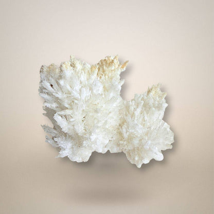 Santa Eulalia Aragonite - Acicular Spray 46g specimen with radiating white crystal clusters, ideal for mineral collectors and display.