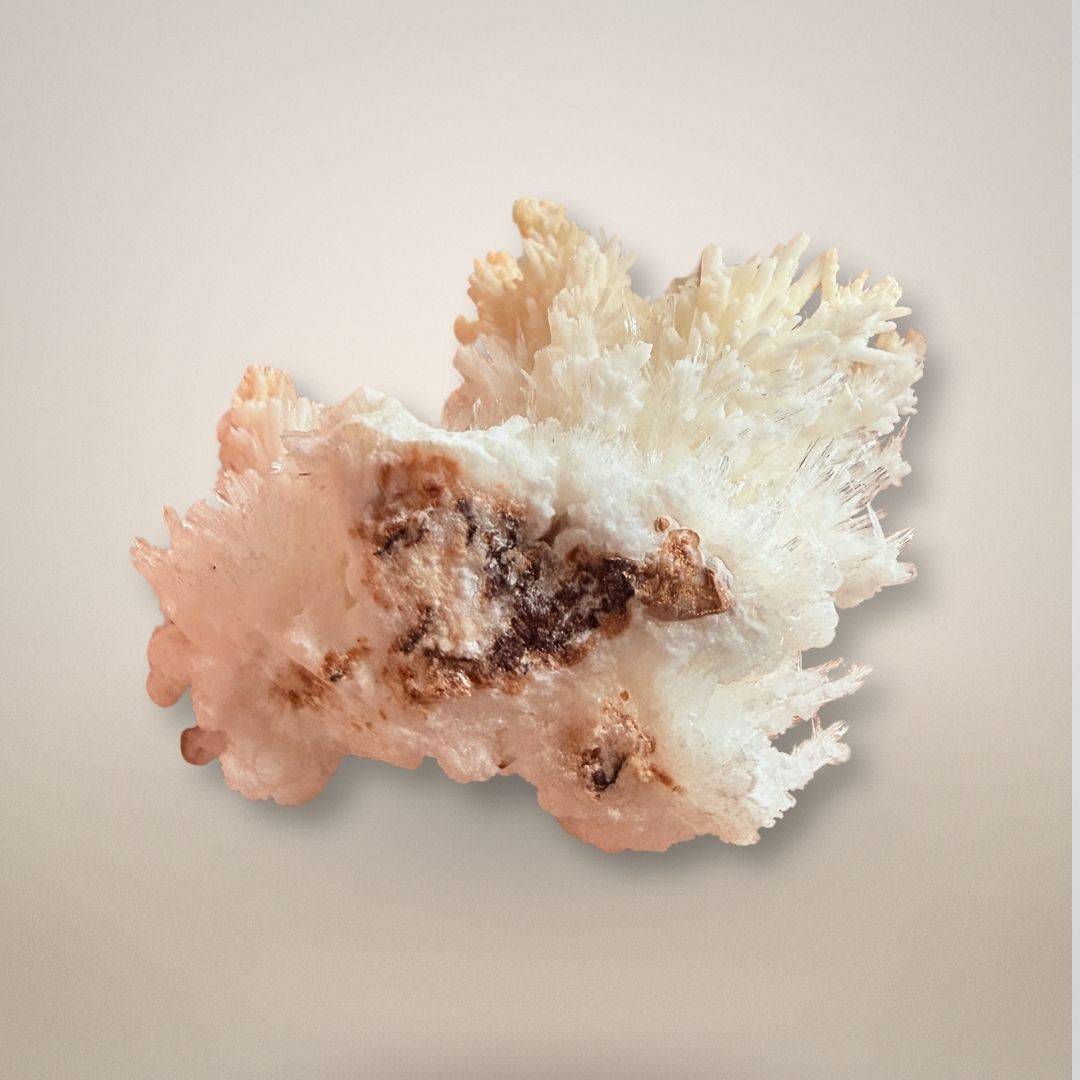 Santa Eulalia Aragonite - Acicular Spray 46g with visible brown matrix and translucent white sprays, perfect for collectors of rare minerals.
