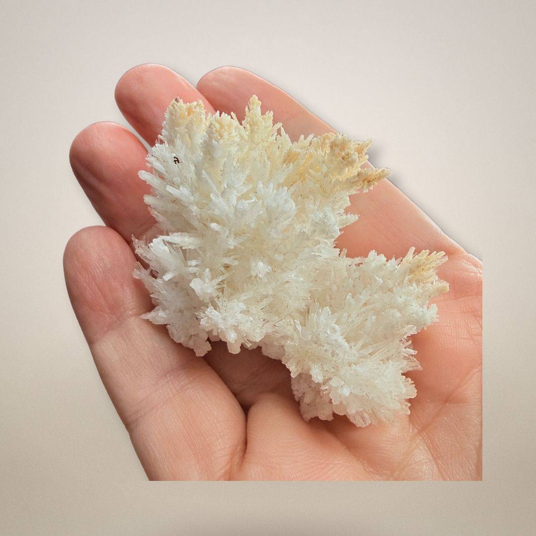 Santa Eulalia Aragonite - Acicular Spray 46g held in hand to show scale and delicate crystal detail, premium mineral specimen for collectors.