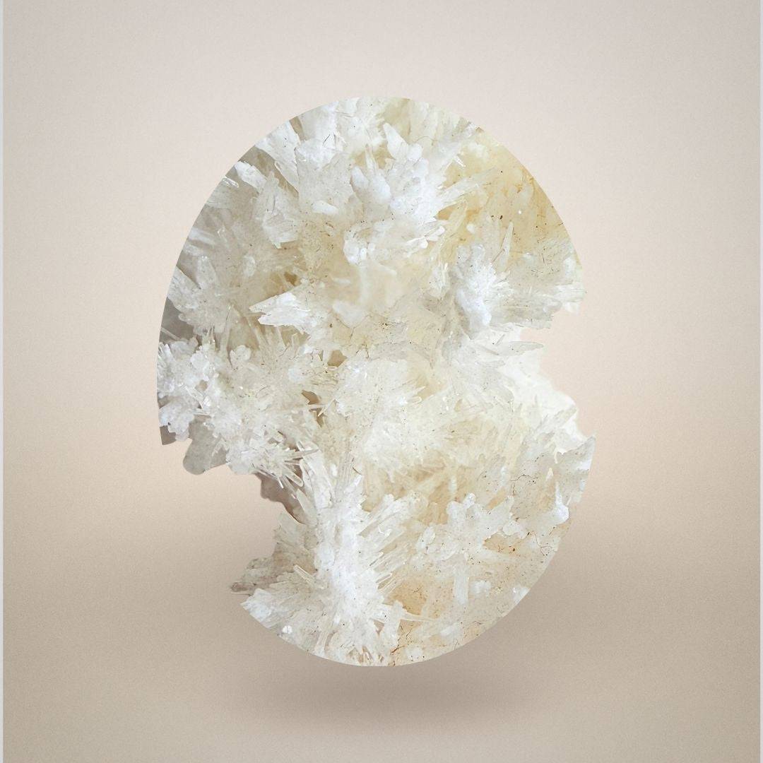 Close-up of Santa Eulalia Aragonite - Acicular Spray 46g highlighting fine radiating crystal structure, collectible mineral from Mexico.