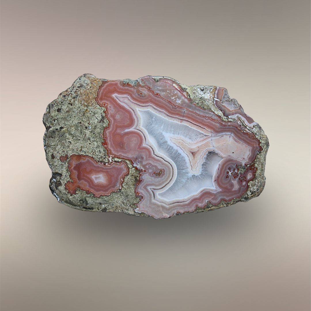 Bou Hamza Agate half showing rose and white fortification banding, quartz interior, and druzy center.
