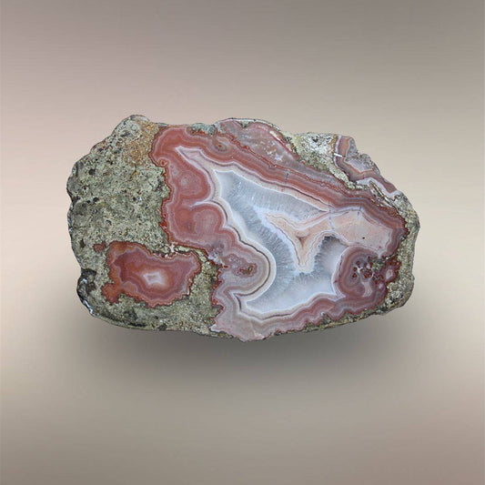 Bou Hamza Agate half showing rose and white fortification banding, quartz interior, and druzy center.