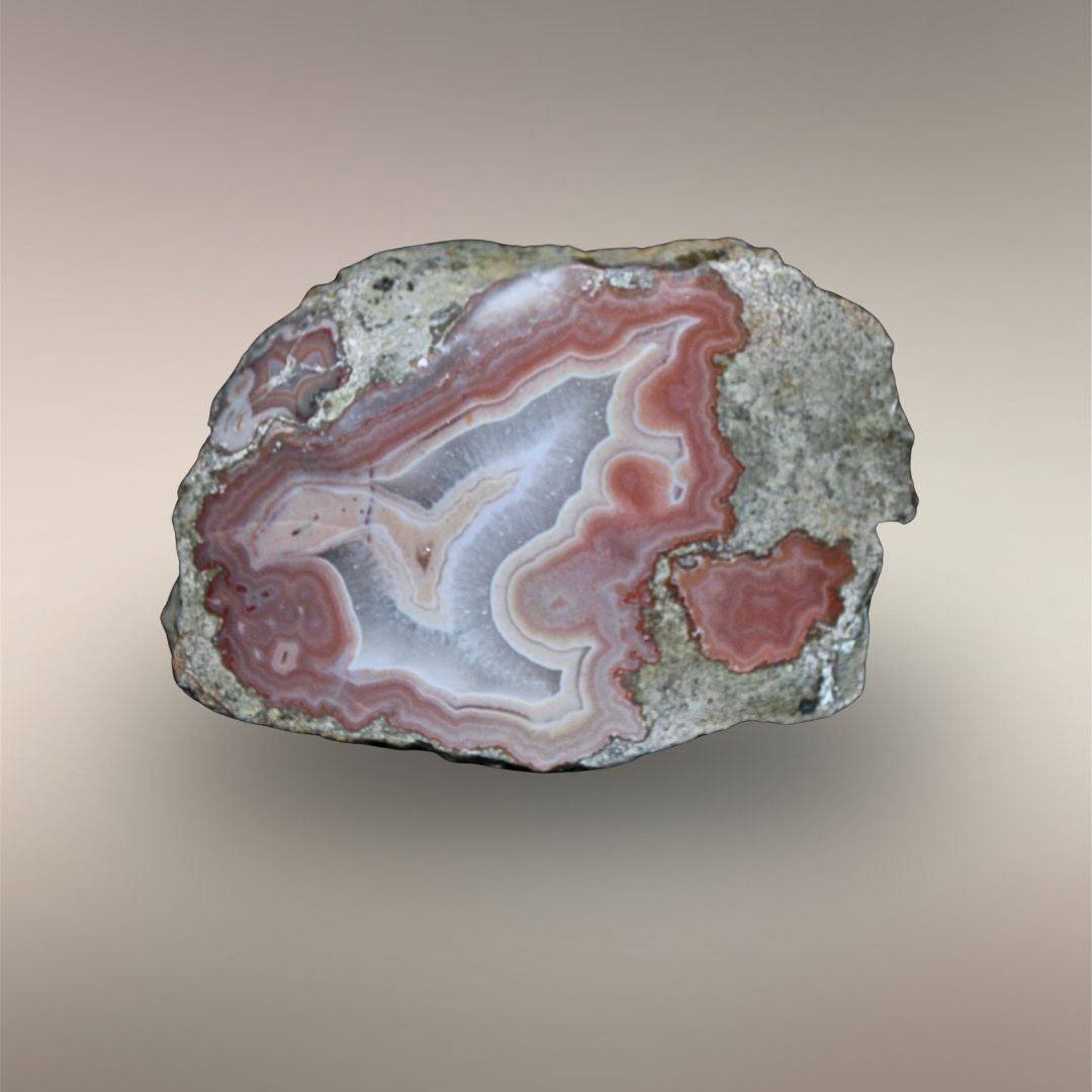 Matching Bou Hamza Agate half with rose fortification banding, pale quartz center, and natural outer rind.