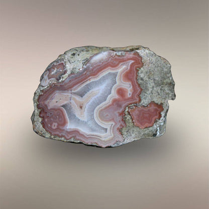 Matching Bou Hamza Agate half with rose fortification banding, pale quartz center, and natural outer rind.