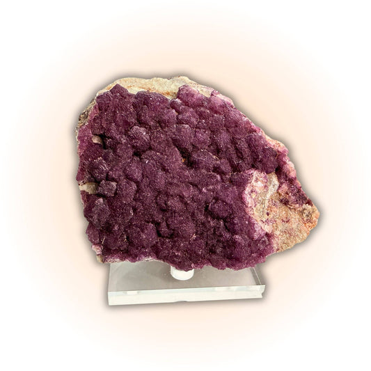 Deep Violet Botryoidal Fluorite Crystals Specimen from France displayed on a clear stand, featuring rich purple microcrystalline texture.