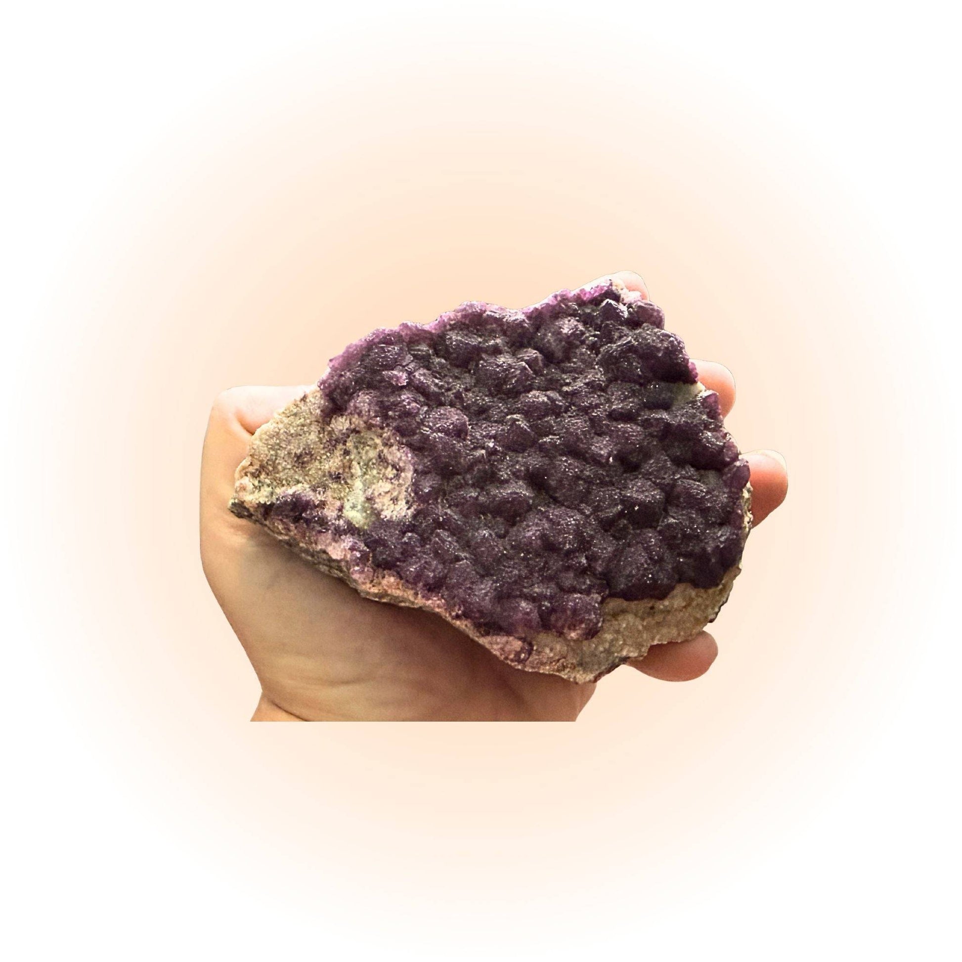 Deep Violet Botryoidal Fluorite Crystals Specimen held in hand, showcasing its vibrant color and collectible mineral quality from France.