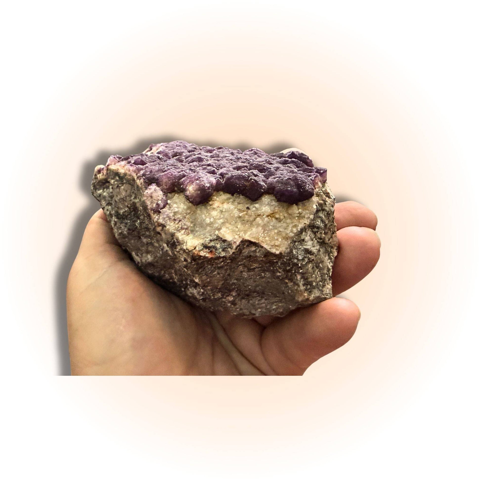 Hand holding Deep Violet Botryoidal Fluorite Specimen from France, highlighting natural botryoidal formation and earthy matrix.