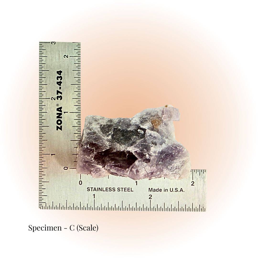 Brazilian Purple Fluorite crystal specimen C shown with ruler for scale, highlighting its raw texture and natural purple hues for clarity and focus.
