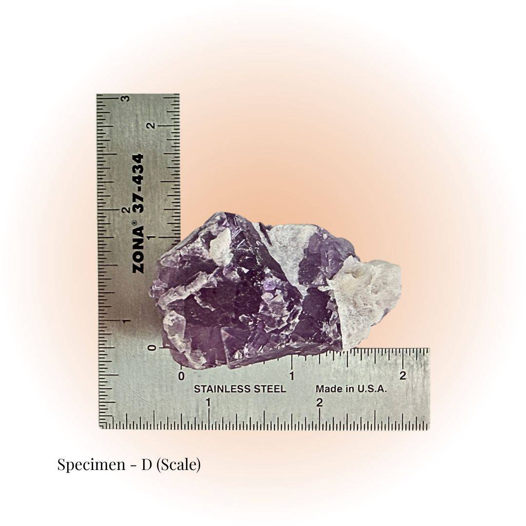 Brazilian Purple Fluorite crystal specimen D with deep violet hues and white matrix, shown with ruler scale for size reference. Ideal for clarity and focus.