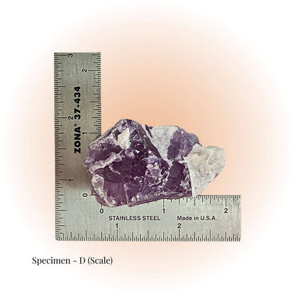 Brazilian Purple Fluorite crystal specimen D with deep violet hues and white matrix, shown with ruler scale for size reference. Ideal for clarity and focus.