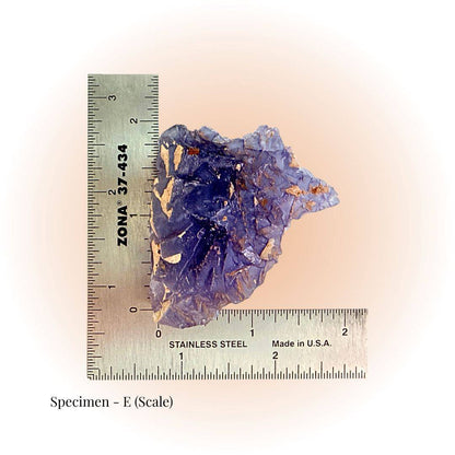 Brazilian Purple Fluorite crystal specimen E shown with ruler for scale. Features deep violet hues and natural geometric formations for clarity & focus.