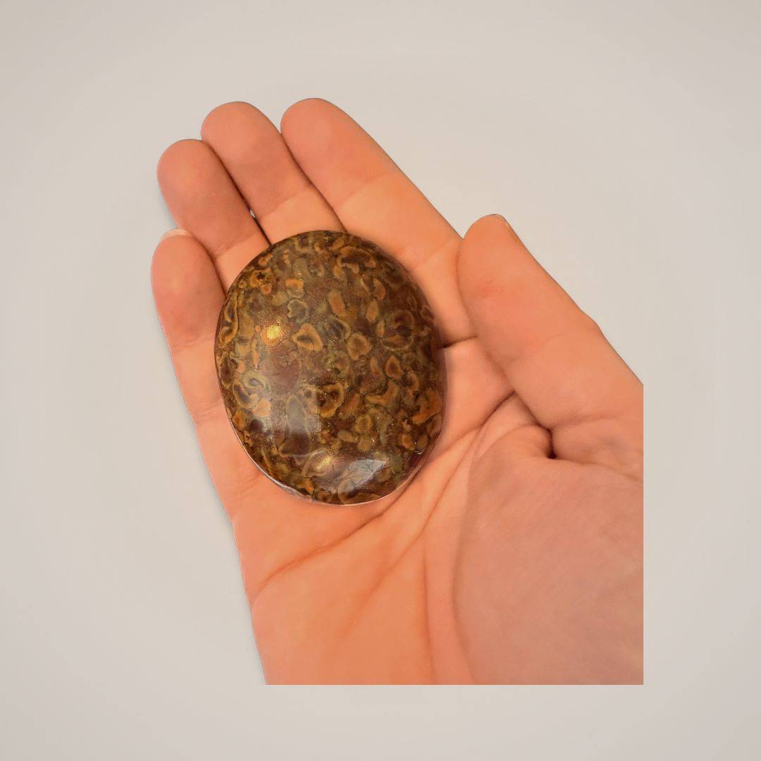 Hand holding Fruit Ajooba Jasper Palm Stone for size reference