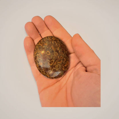 Hand holding Fruit Ajooba Jasper Palm Stone for size reference