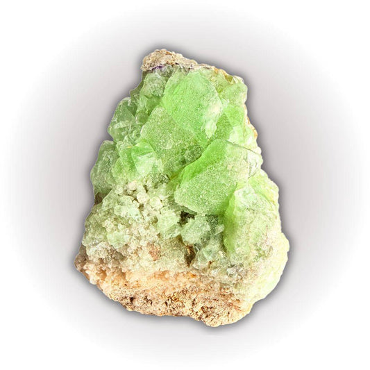 Apple green fluorite quartz specimen from Wise Mine with vivid cubic crystals and quartz matrix. Rare collector's mineral for display or collection.