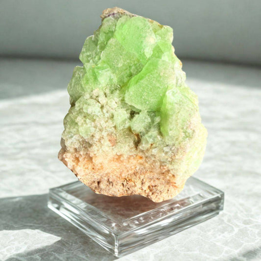 Green fluorite quartz specimen from Wise Mine on acrylic stand, showcasing bright color and strong cubic form. Ideal for mineral collectors.