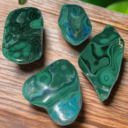 Set of four polished Malacholla Freeform specimens featuring botryoidal malachite and chrysocolla patterns in green and blue hues.