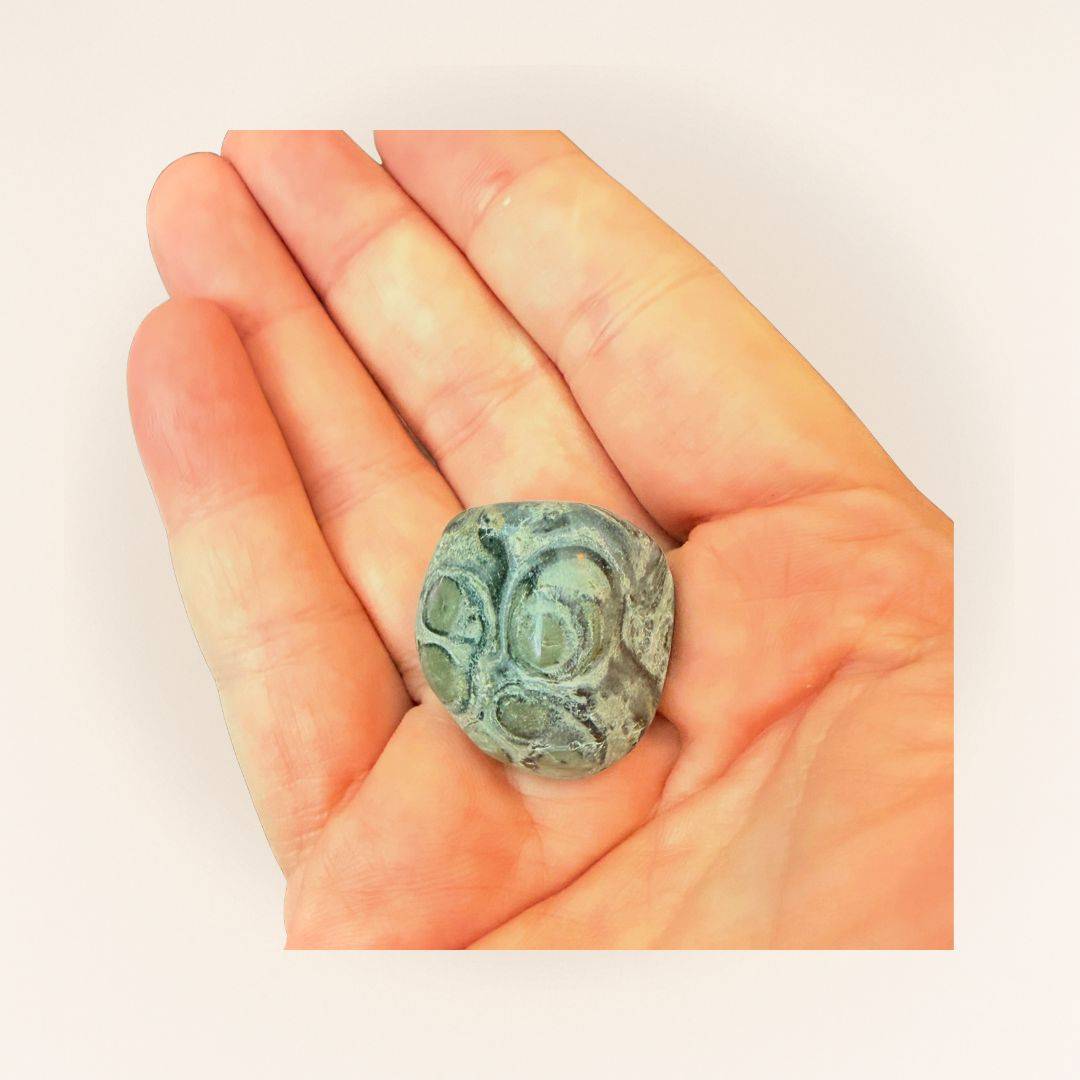 Hand holding a Kambaba Jasper Cube Stone - Tumbled, showcasing its size and unique orbicular patterns for calm and emotional resilience.