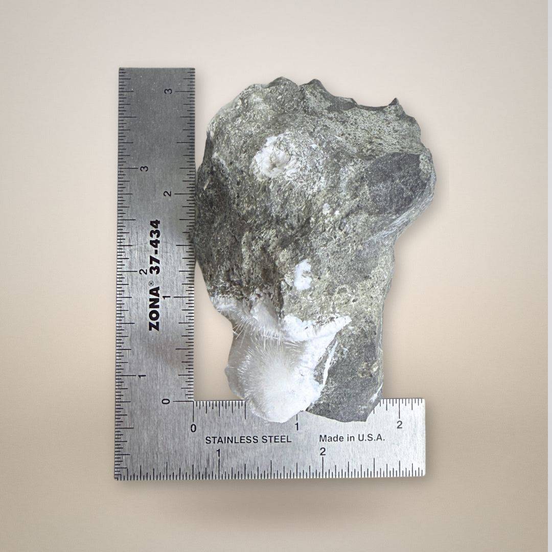 Natrolite micro-needles specimen measured with ruler, showing size and crystal spread on basalt from Teichelberg, Germany.