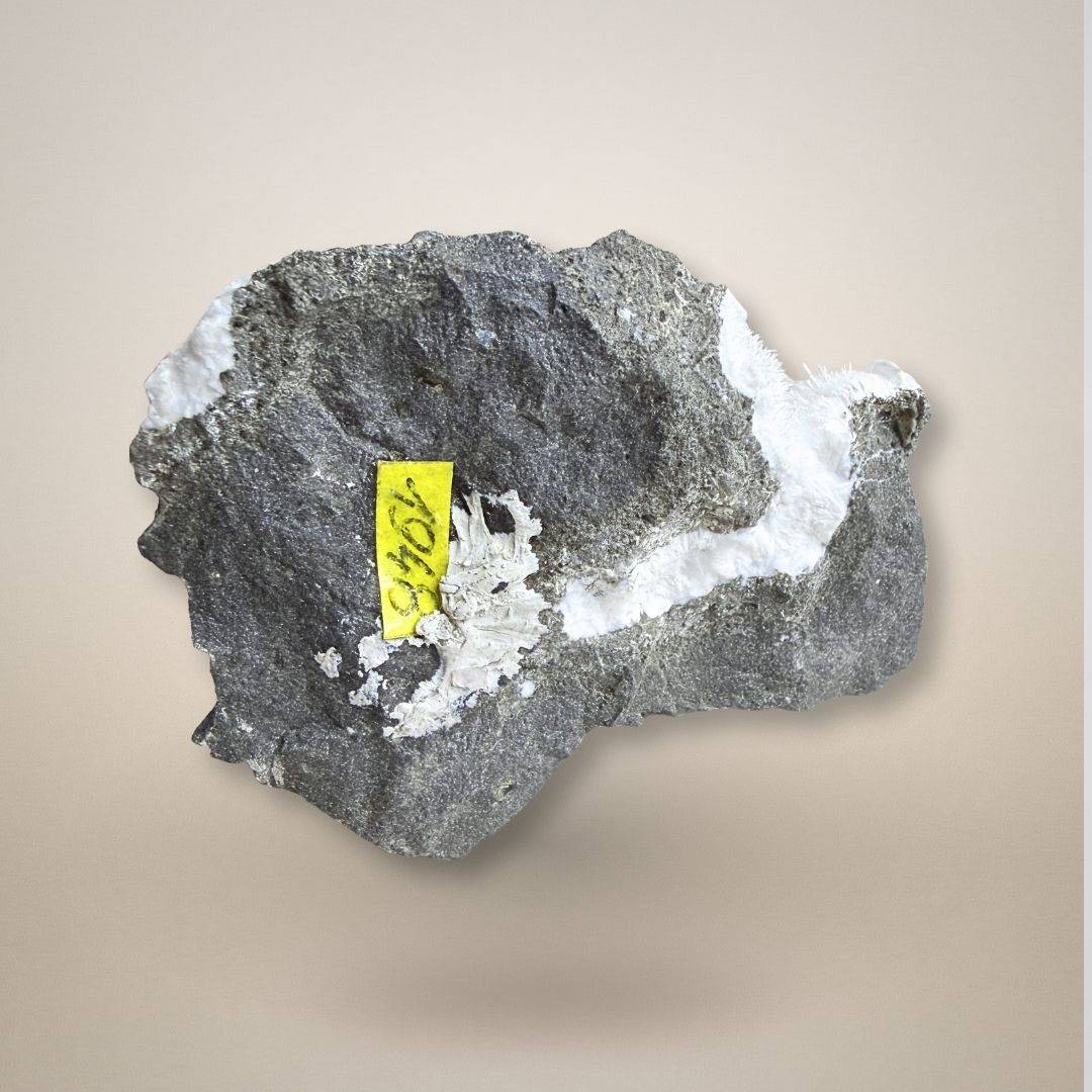 Back view of Natrolite micro-needles specimen with visible white crystal vein and collection label, sourced from Teichelberg, Germany.