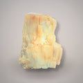 UV reactive petrified cypress wood specimen
