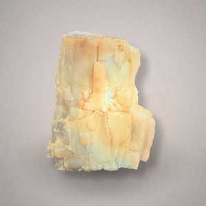Hubbard Basin Petrified Wood Specimen - UV Reactive (258g)