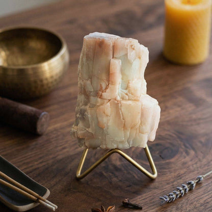 UV reactive petrified cypress wood specimen on display stand