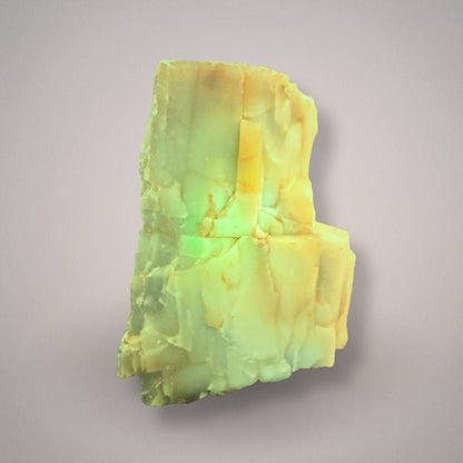 Petrified wood specimen with UV fluorescence under shortwave UV light