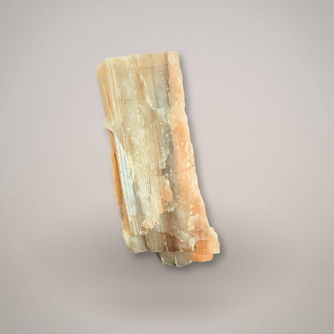 Raw Hubbard Basin petrified wood specimen with UV fluorescence