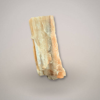 Raw Hubbard Basin petrified wood specimen with UV fluorescence